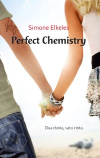 Image of PERFECT CHEMISTRY