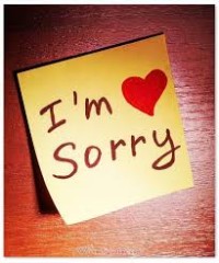 Image of SAVE OR SORRY
