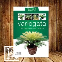 Image of VARIEGATA